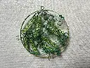 danhobby ærter quilling.webp