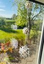 Mini-Quiller blomsterblade