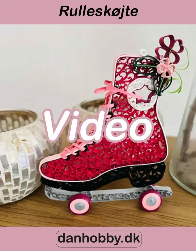 [DHQV0001] Video undervisning - Rulleskøjte
