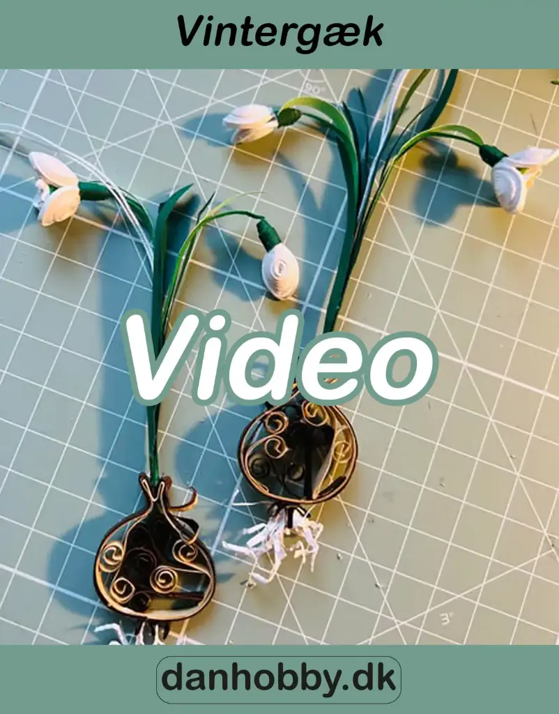 [DHQV0003] Video undervisning - Vintergæk