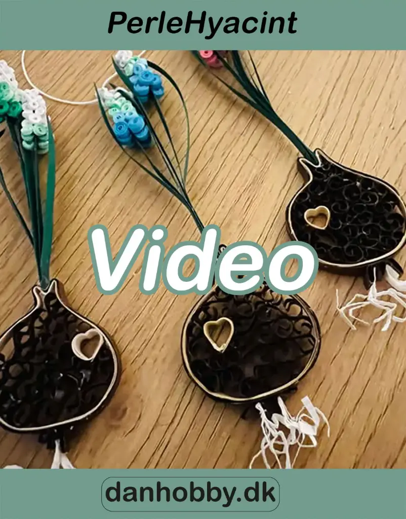 Video undervisning - PerleHyacint