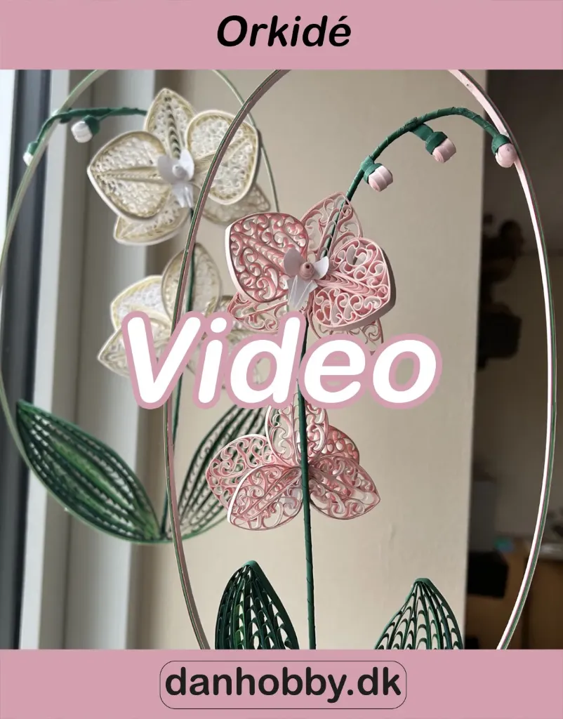 Video undervisning - Orkidé