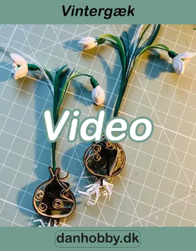 [DHQV0003] Video undervisning - Vintergæk